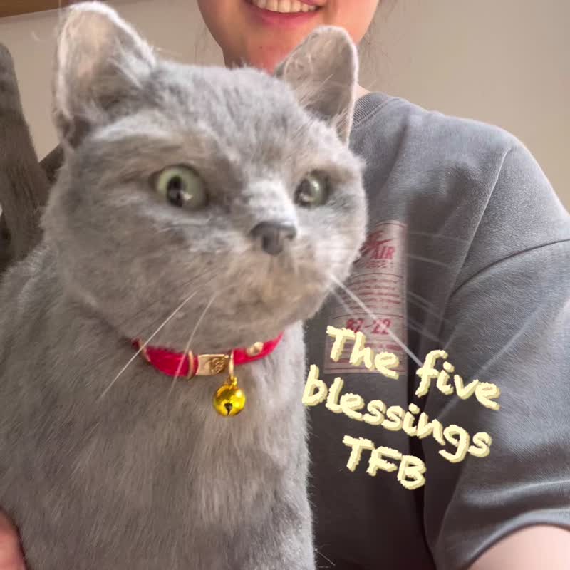 Russian blue cat, realistic plush toy - 公仔/玩偶 - 其他材質 灰色