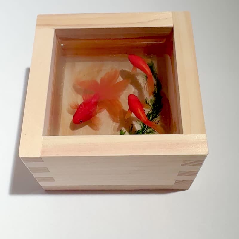 檜桶中游泳的金魚　擺設 - 擺飾/家飾品 - 木頭 