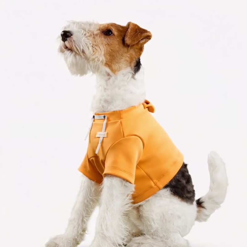bump up【Crop Hoodie】高腰衛衣寵物狗狗衣服 - 寵物衣服 - 聚酯纖維 卡其色