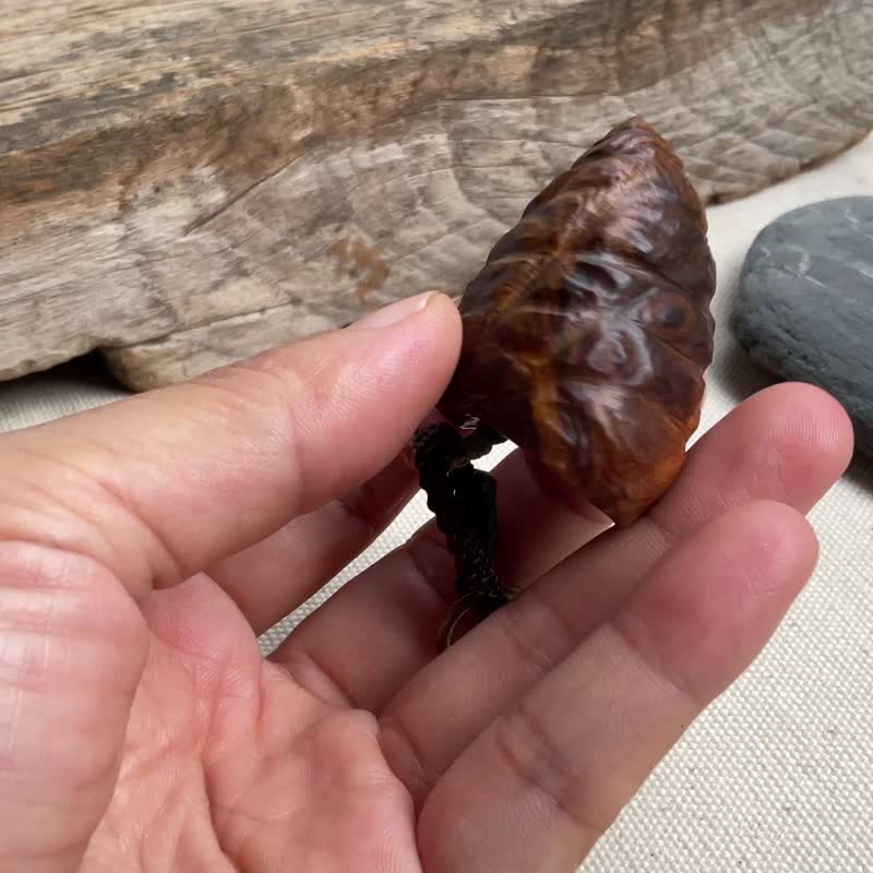 捲捲瘤花貝殼 肖楠木吊飾 鑰匙圈 背包掛飾 - 鑰匙圈/鑰匙包 - 木頭 多色