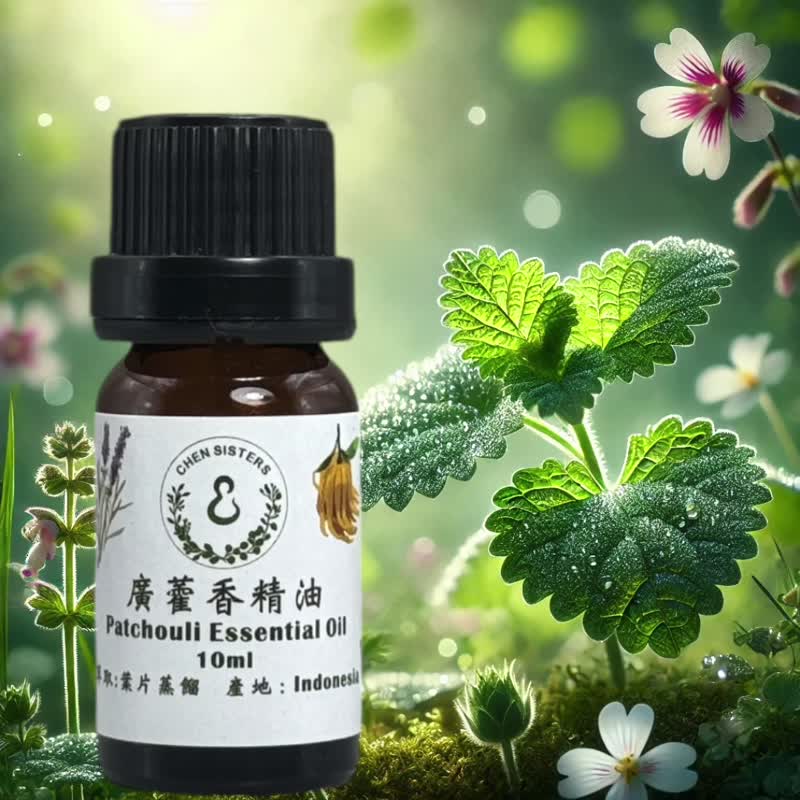 100% pure patchouli essential oil. Natural woody essential oil soothes and balances the body and mind. Comes with exquisite diffuser Stone. - Fragrances - Essential Oils White