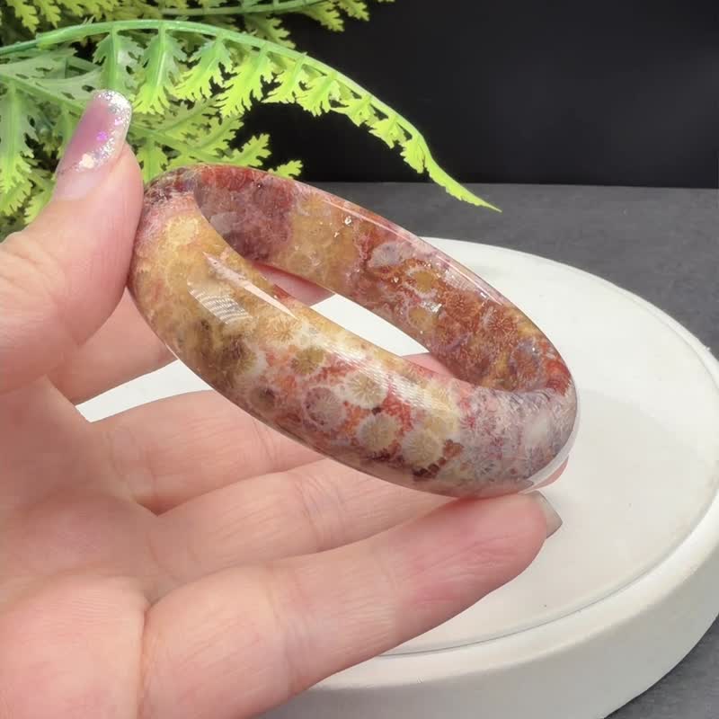 磚紅紫珊瑚玉手鐲 55MM 高瓷玉化 檸檬片鳳尾紋 友誼平衡生機幸運 - 手鍊/手環 - 玉石 