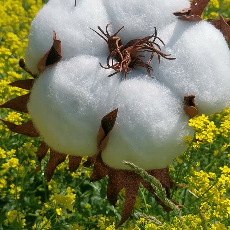 Cotton Flowers. Wedding Backdrop. Giant Bouquet. Large White Artificial Flowers - อื่นๆ - วัสดุอื่นๆ 