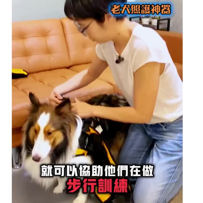 Pet assistive clothes paralyzed type L senior dog mobility inconvenience pet auxiliary aids to assist walking - Other - Other Man-Made Fibers 