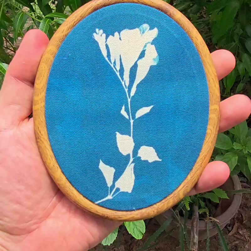 Ganges Primrose, Cyanotype print, framed in a 14.5cm embroidery hoop - 壁貼/牆壁裝飾 - 棉．麻 藍色