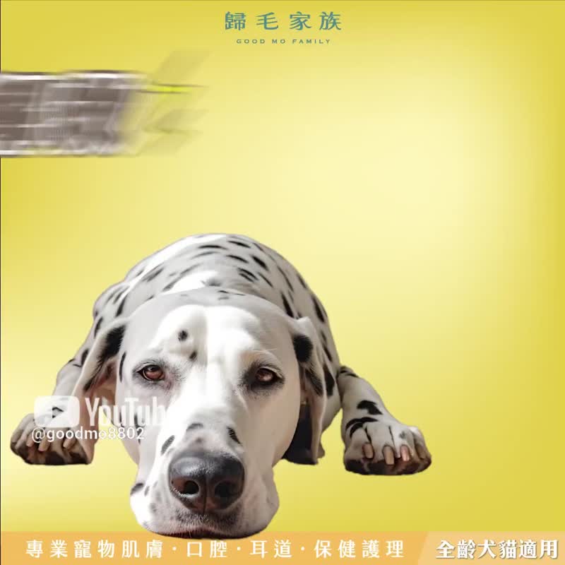 【歸毛家族】Good寶系列寵物保健品－舒壓寶4入組 - 其他 - 其他材質 
