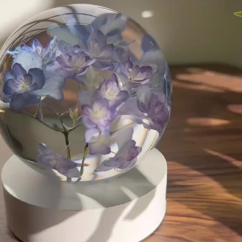 真花 \乾燥花 繡球花永生花樹脂小夜燈 - 擺飾/家飾品 - 樹脂 多色