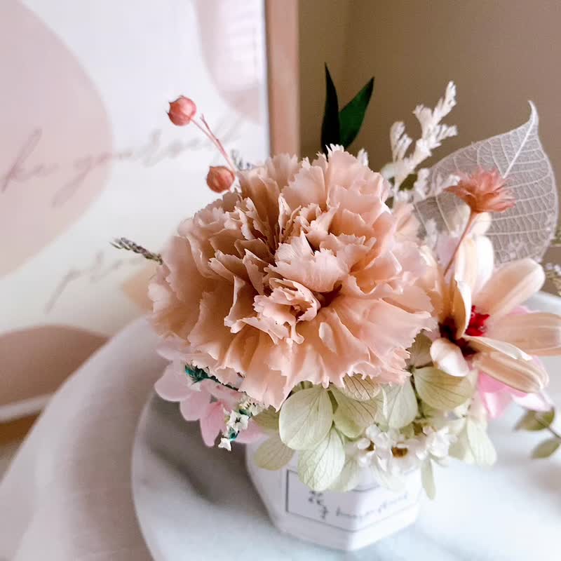 (Customized) Preserved Flower Dried Flower Diffuser Mother's Day Small Table Flower Carnation Potted Flower Gift - ช่อดอกไม้แห้ง - พืช/ดอกไม้ สึชมพู