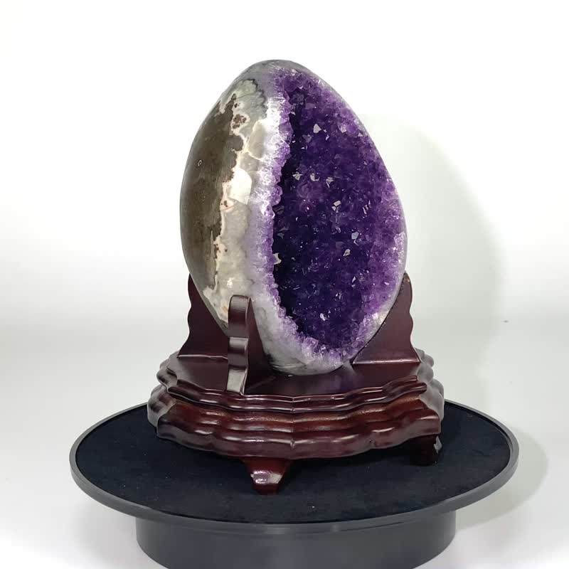 ESP Uruguay Dinosaur Egg 481100 - Items for Display - Crystal Purple