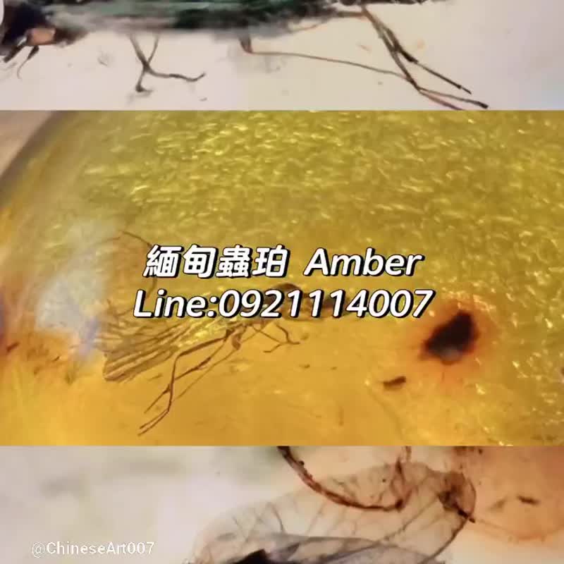 天然緬甸琥珀 蟲珀 1.56克 Myanmar Amber 金珀 琥珀 白堊紀 時空 - 吊飾/掛飾 - 半寶石 金色