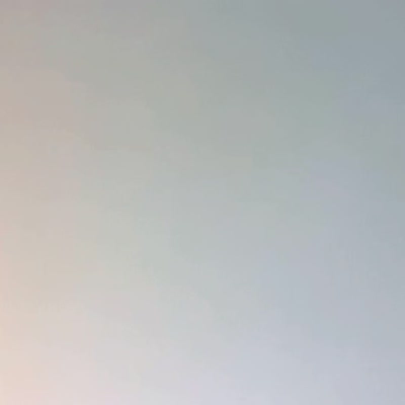 ミニ手のひらクリスマスツリー 梱包ギフトボックス付き - ドライフラワー・ブーケ - 寄せ植え・花 多色