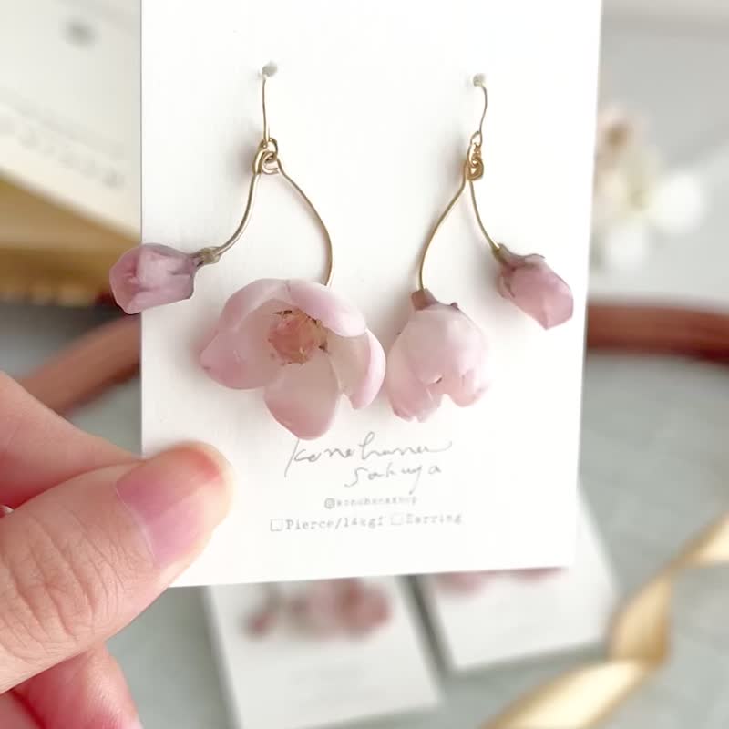 14kgf earrings with first blooming cherry blossoms, Clip-On, Sakura, Cherry blossoms, Dried flower Earrings, No.207 - Earrings & Clip-ons - Plants & Flowers Pink