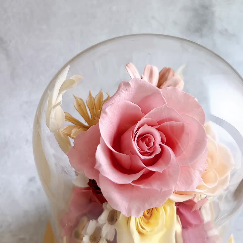 玫瑰花玻璃盅 玻璃罩 永生玫瑰花  生日禮物 粉色玫瑰 - 乾燥花/永生花 - 植物．花 粉紅色